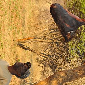 Leopard Bait Namibia