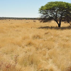 Namibia