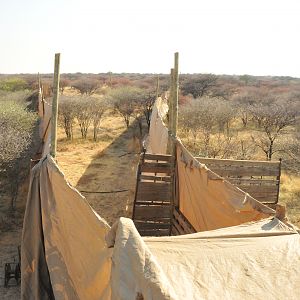 Game Capture Namibia