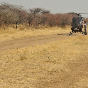 Game Capture Namibia