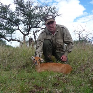 Steenbok