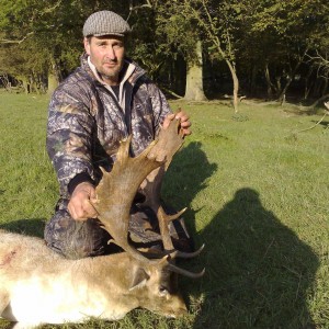 Hunting Fallow Bucks in the UK