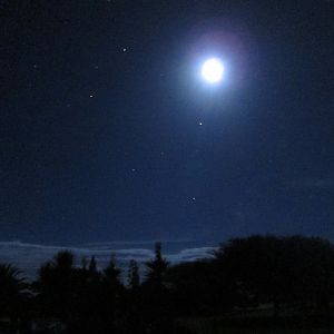 At Night in Namibia