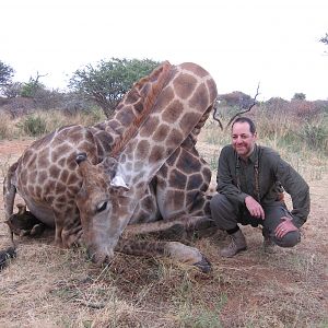 Setting up a Giraffe for trophy pictures