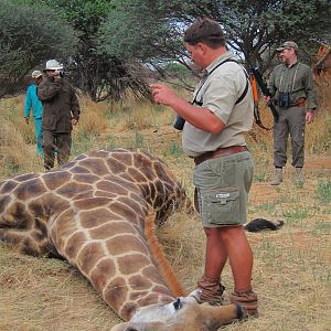 Setting up a Giraffe for trophy pictures