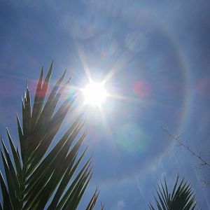 Sun Halo in Namibia