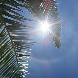 Sun Halo in Namibia