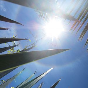 Sun Halo in Namibia