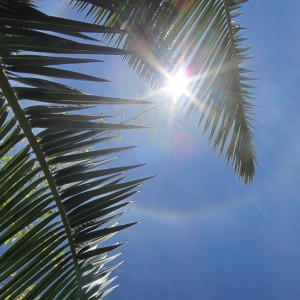 Sun Halo in Namibia