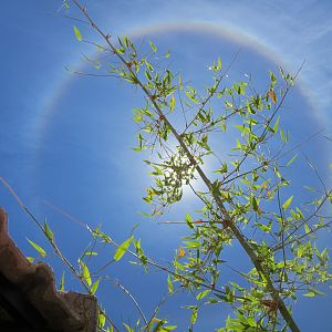 Sun Halo in Namibia