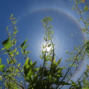 Sun Halo in Namibia