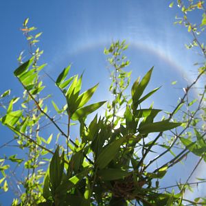 Sun Halo in Namibia