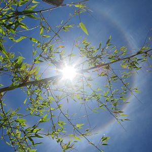 Sun Halo in Namibia