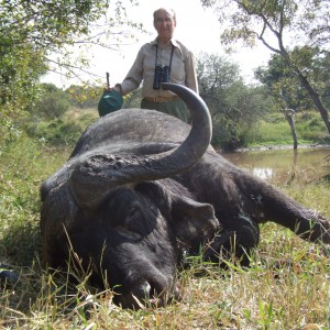 Nice Bull