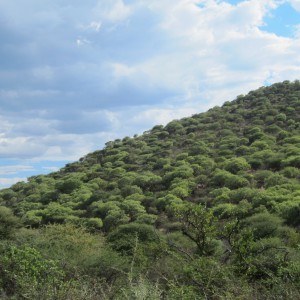 Namibia