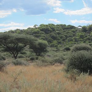 Namibia