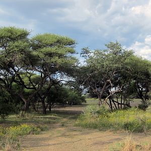 Namibia