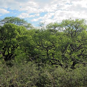 Namibia