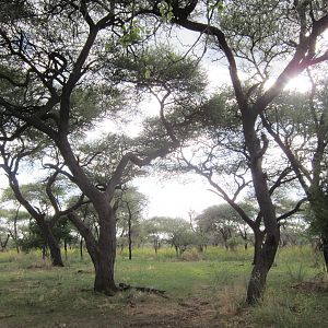 Namibia