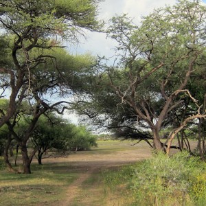 Namibia