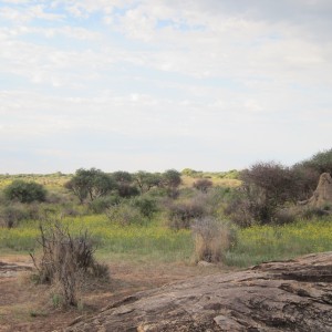 Namibia