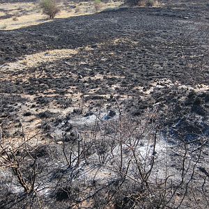 Controlled Bush Fire Namibia