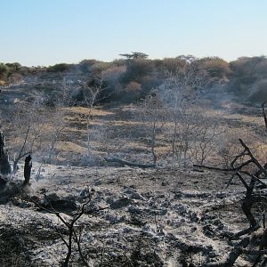 Controlled Bush Fire Namibia