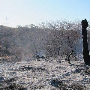 Controlled Bush Fire Namibia