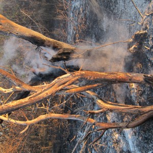 Controlled Bush Fire Namibia