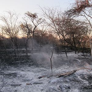 Controlled Bush Fire Namibia