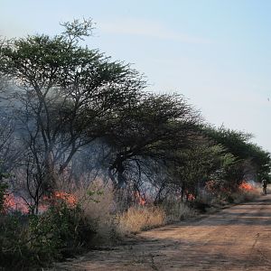 Controlled Bush Fire Namibia