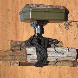 Trail Cam Set Up