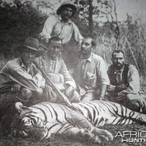 Hunting Tiger in India