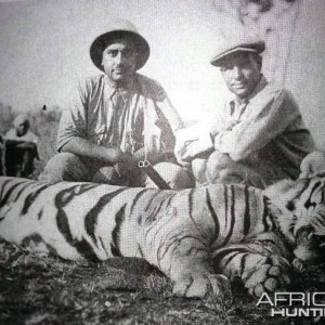 Hunting Tiger in India