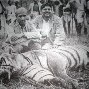 Hunting Tiger in India