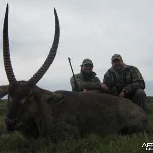 Waterbuck South Africa