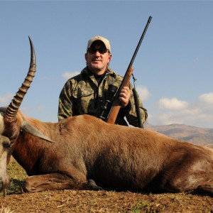 Blesbok