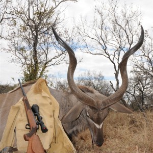 Kudu