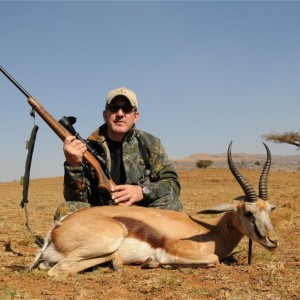 Springbok