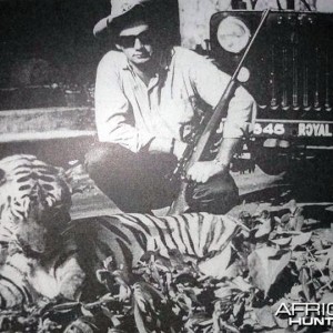 Hunting Tiger