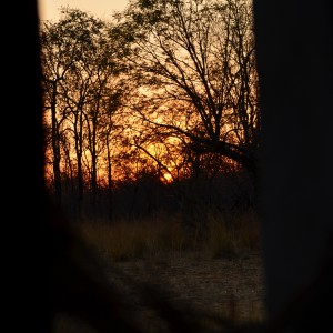 sunrise from the hide