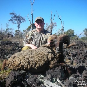 Black Hawaiian Sheep hunt on the Big Island of Hawaii