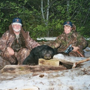 black bear with handgun