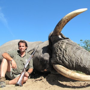 Elephant Botswana 2011  65 x 62 Pounds