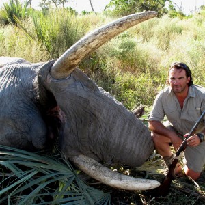 Elephant Botswana 2010  67 x 65 Lbs