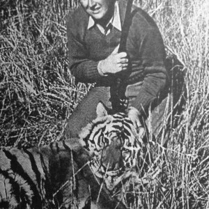 John Coapman Tiger