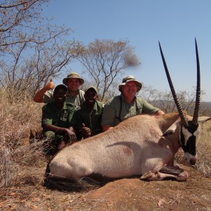 Gemsbok