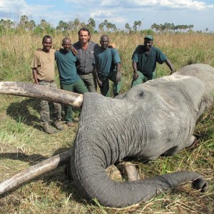 Elephant Selous Game Reserve