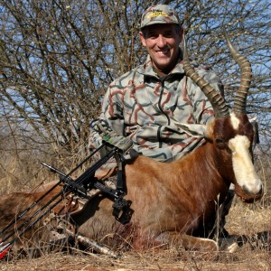 Limpopo Blesbuck