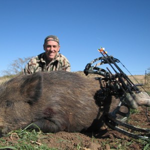 East Cape Feral Boar